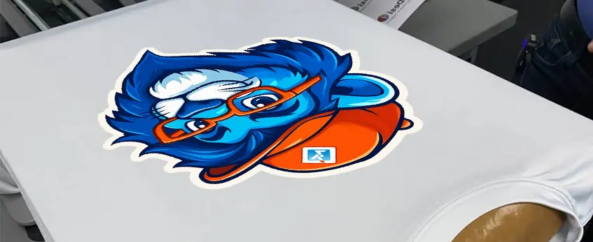 meilleure poudre dtf